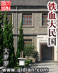 铁血大民国txt校对版