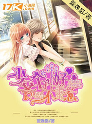 少爷个个不好惹小说