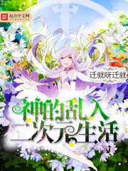 神乱入的二次元生活 小说